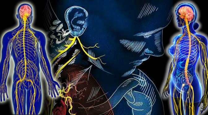 Vagus-related Treatment of&nbsp;PTSD