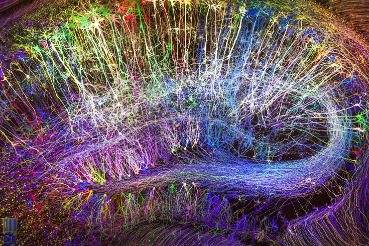 Brain training for good&nbsp;health